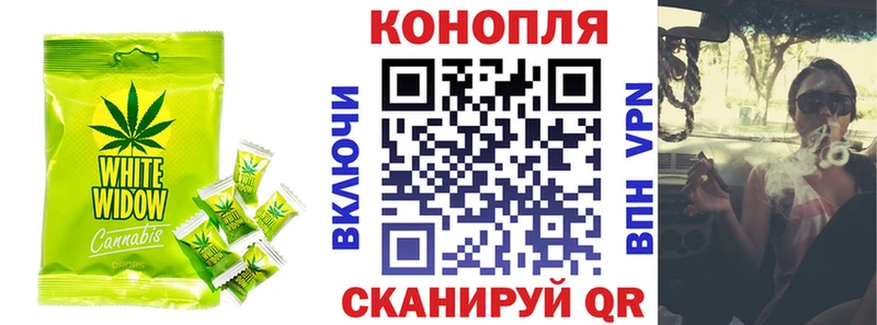 Купить где  Володарск  Cannafood конопля 